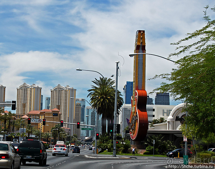 Альбом отзыва "Культовое кафе в Лас-Вегасе"