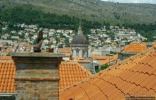 Дубровник на ладони. Прогулка по крепостной стене.