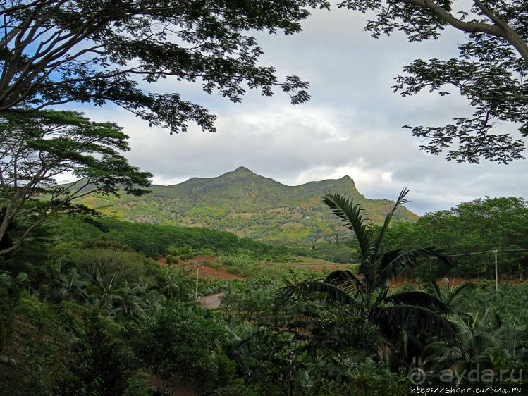 Стометровый водопад среди пышной растительности