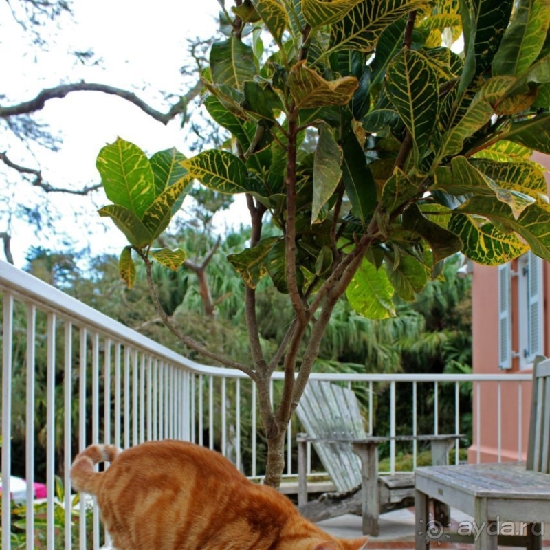 Grotto Bay Beach Resort — наше место под солнцем Бермуд