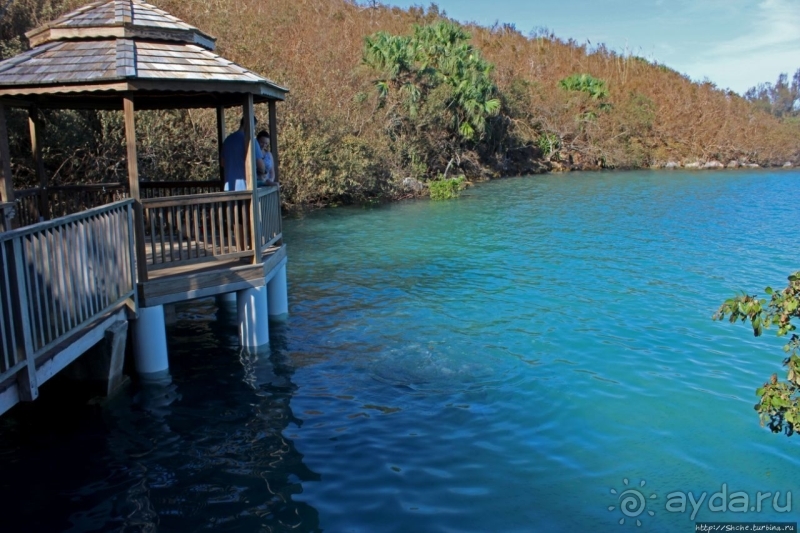 Grotto Bay Beach Resort — наше место под солнцем Бермуд