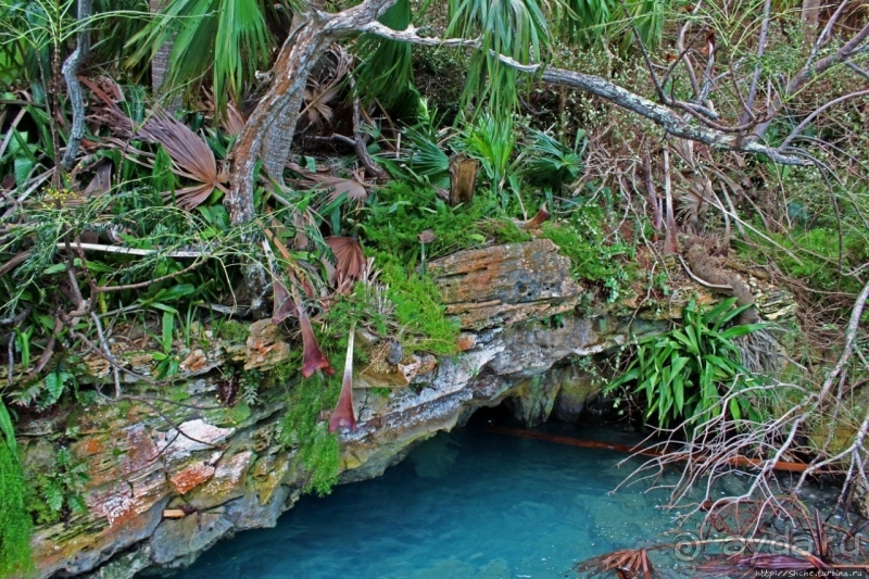 Grotto Bay Beach Resort — наше место под солнцем Бермуд