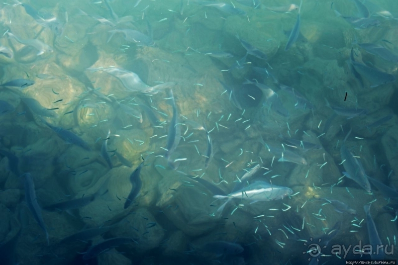 Grotto Bay Beach Resort — наше место под солнцем Бермуд