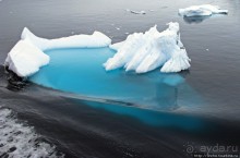 Neko Bay — мелкий залив, где любят купаться пингвины