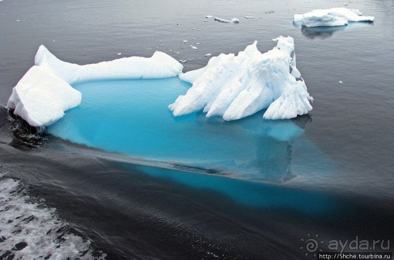Neko Bay — мелкий залив, где любят купаться пингвины
