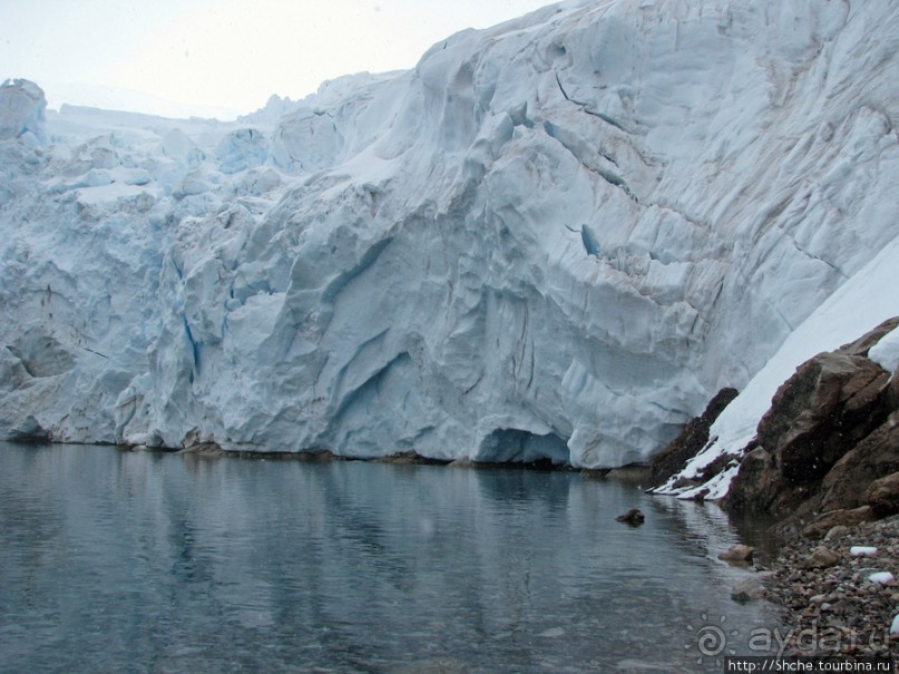Neko Bay — мелкий залив, где любят купаться пингвины