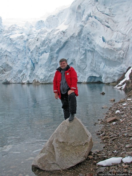 Neko Bay — мелкий залив, где любят купаться пингвины