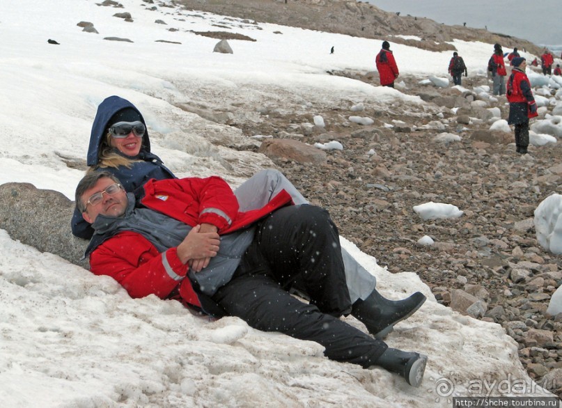 Neko Bay — мелкий залив, где любят купаться пингвины