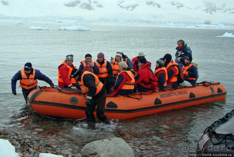 Neko Bay — мелкий залив, где любят купаться пингвины