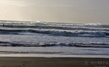 Muriwai Beach — вероятно, лучший пляж на Северном острове