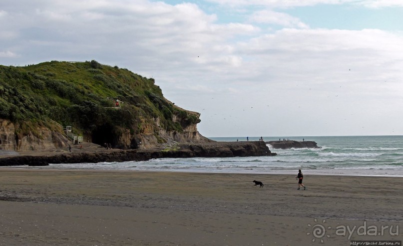 Muriwai Beach — вероятно, лучший пляж на Северном острове