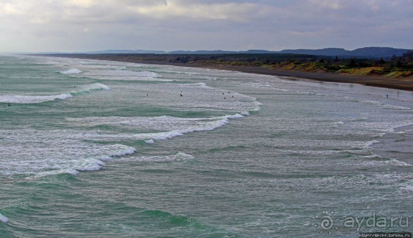 Muriwai Beach — вероятно, лучший пляж на Северном острове