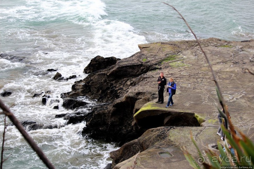 Muriwai Beach — вероятно, лучший пляж на Северном острове