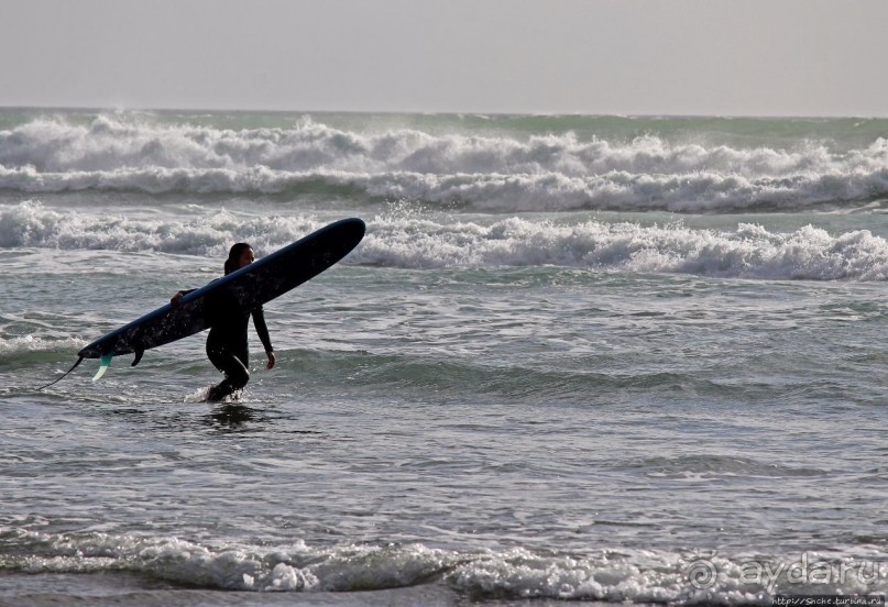 Muriwai Beach — вероятно, лучший пляж на Северном острове