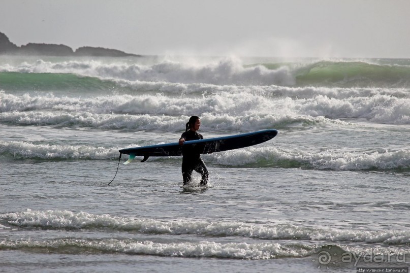 Muriwai Beach — вероятно, лучший пляж на Северном острове