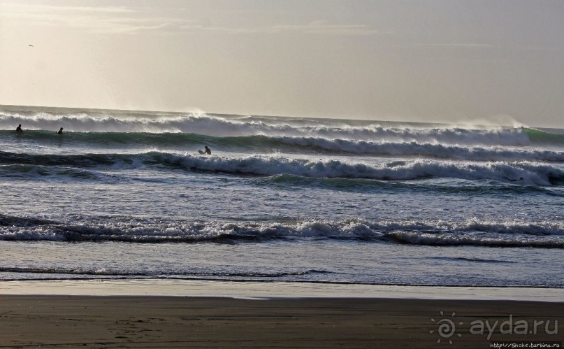Muriwai Beach — вероятно, лучший пляж на Северном острове
