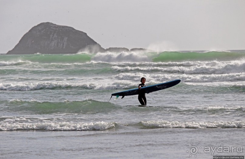 Muriwai Beach — вероятно, лучший пляж на Северном острове