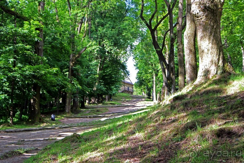 Пройти по Их пути