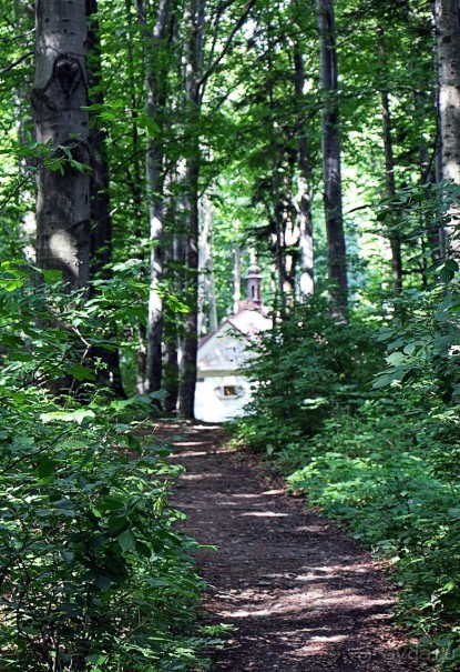 Пройти по Их пути