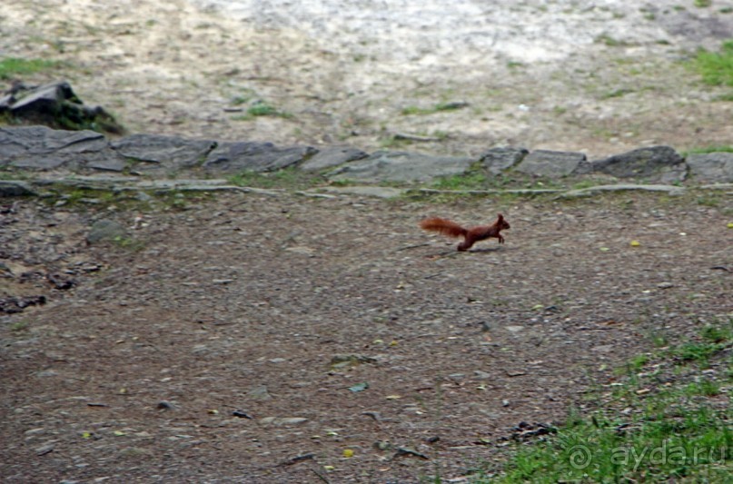 Пройти по Их пути