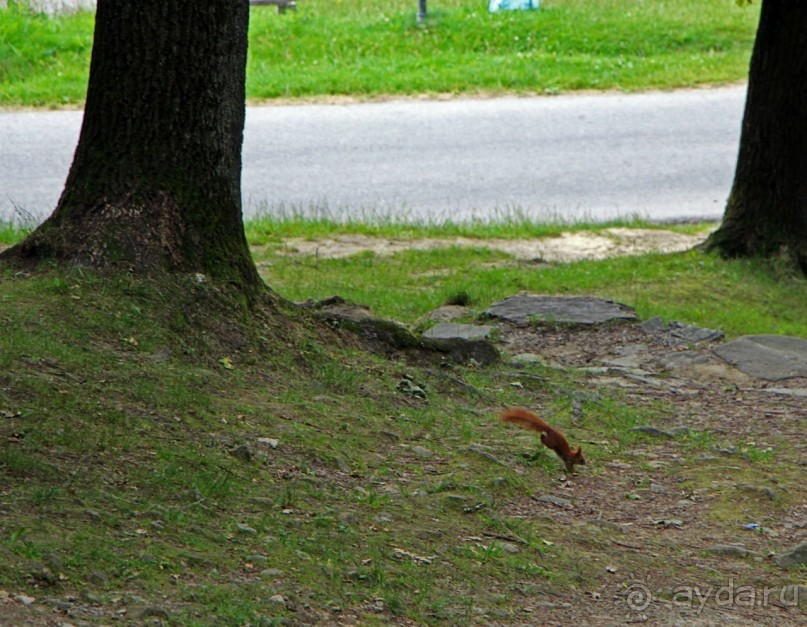 Пройти по Их пути