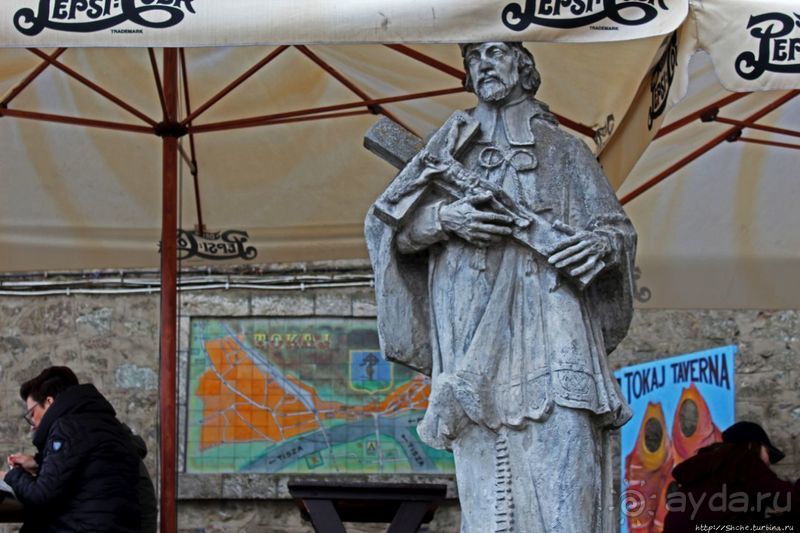 Взгляд на просторы винного региона Токай