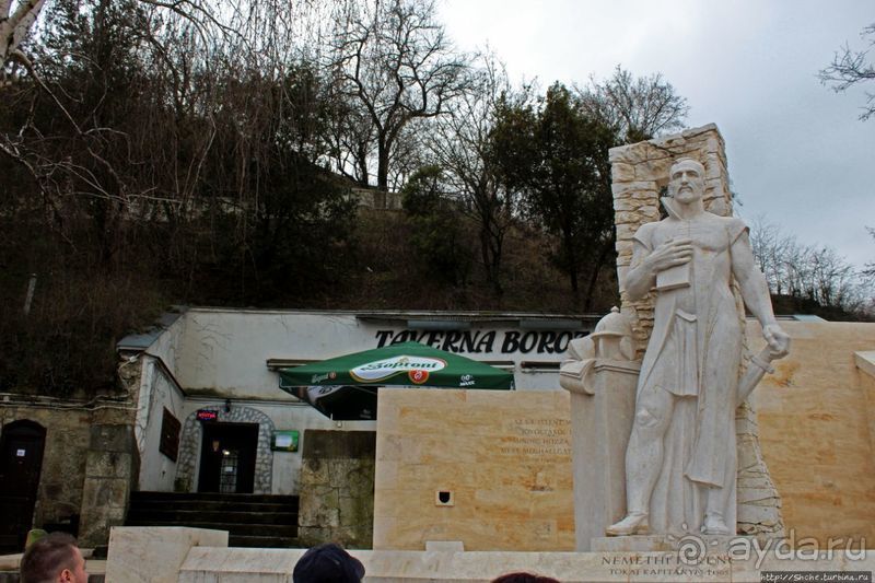 Взгляд на просторы винного региона Токай