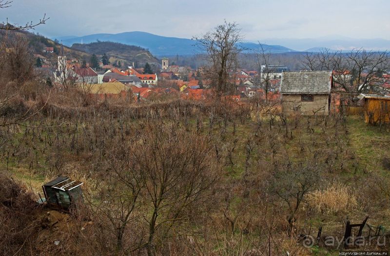 Взгляд на просторы винного региона Токай