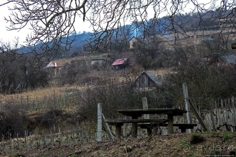 Взгляд на просторы винного региона Токай
