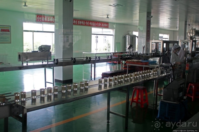 Лучший в мире женьшень (как минимум по утверждению корейцев)