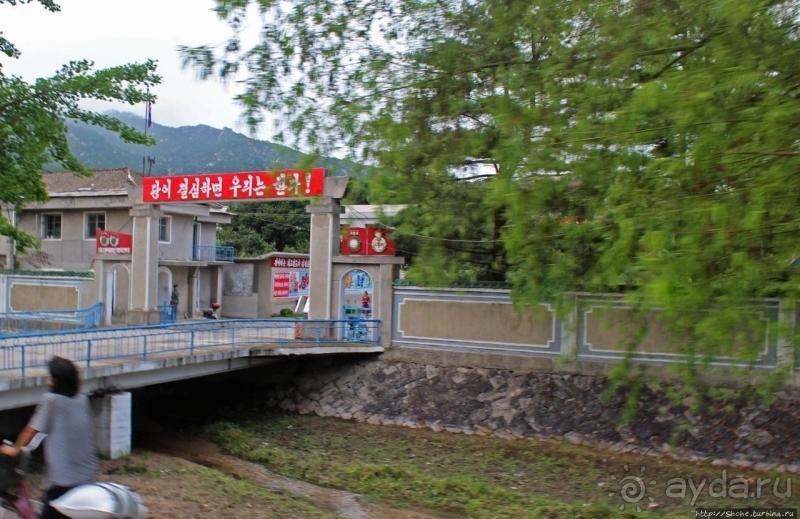 Лучший в мире женьшень (как минимум по утверждению корейцев)