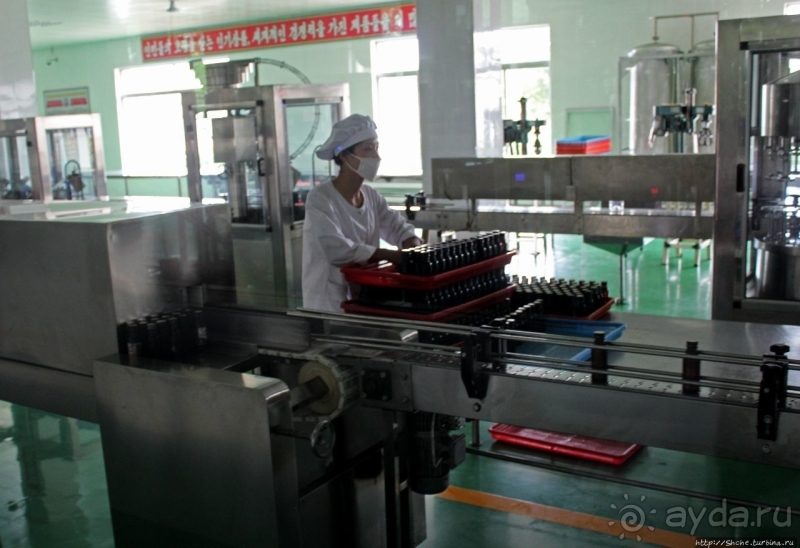 Лучший в мире женьшень (как минимум по утверждению корейцев)