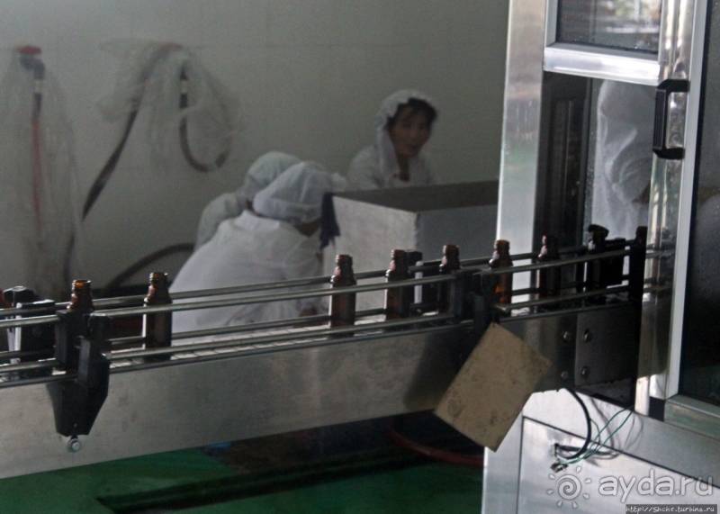 Лучший в мире женьшень (как минимум по утверждению корейцев)