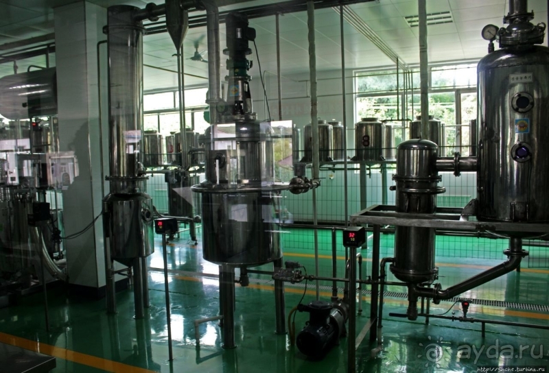 Лучший в мире женьшень (как минимум по утверждению корейцев)