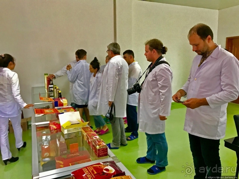 Лучший в мире женьшень (как минимум по утверждению корейцев)