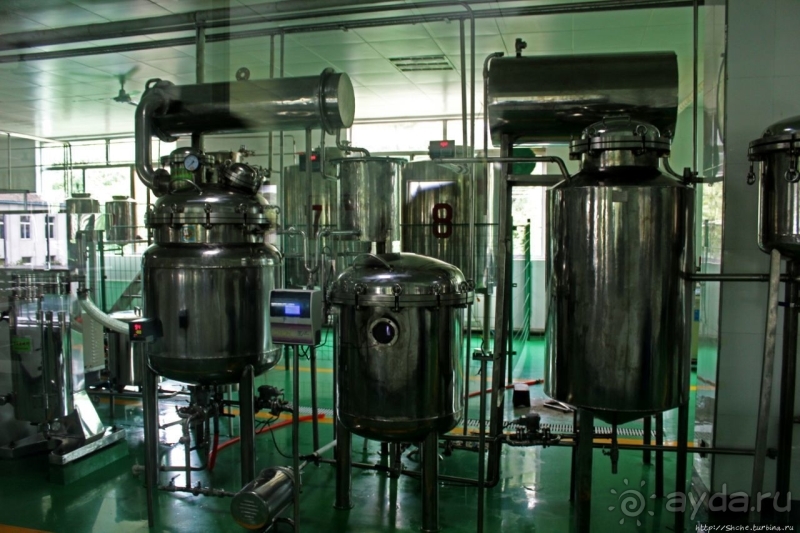 Лучший в мире женьшень (как минимум по утверждению корейцев)