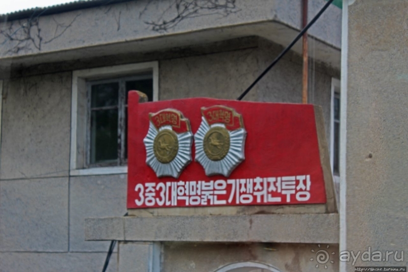 Лучший в мире женьшень (как минимум по утверждению корейцев)