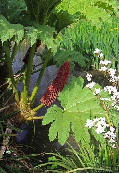 Коллекция редких животных в частном зоопарке на Джерси