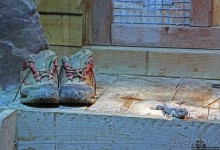 Коллекция редких животных в частном зоопарке на Джерси