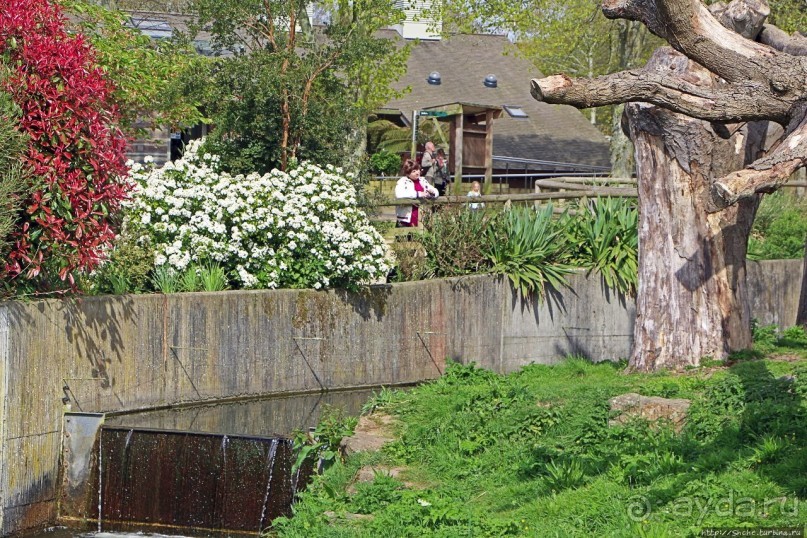 Коллекция редких животных в частном зоопарке на Джерси