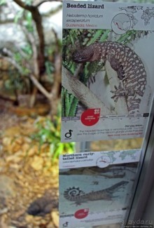 Коллекция редких животных в частном зоопарке на Джерси