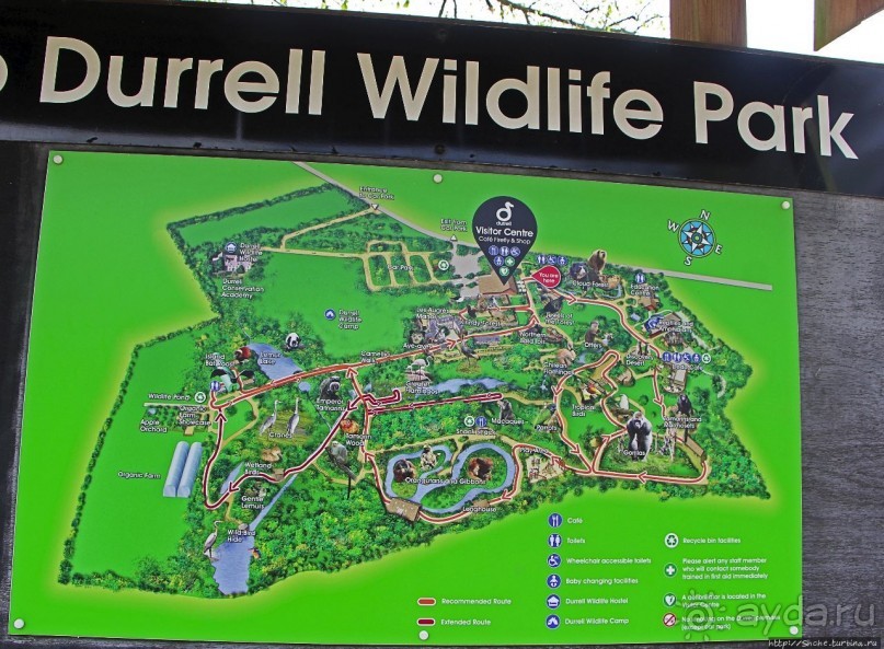 Коллекция редких животных в частном зоопарке на Джерси