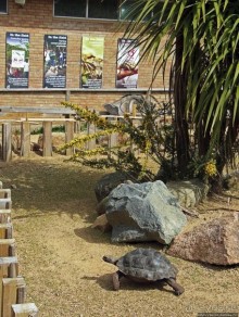 Коллекция редких животных в частном зоопарке на Джерси