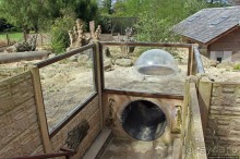 Коллекция редких животных в частном зоопарке на Джерси