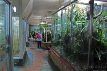 Коллекция редких животных в частном зоопарке на Джерси