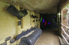 Коллекция редких животных в частном зоопарке на Джерси