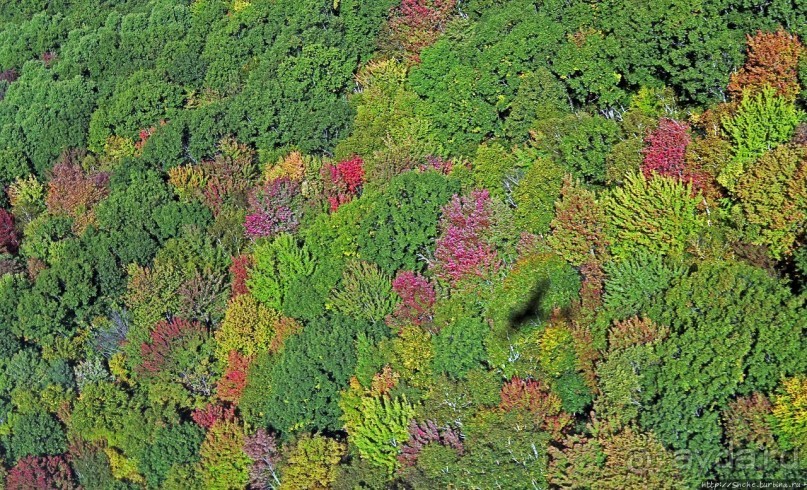 В гостях у Радуги. Под крылом самолета: Массачусетс, Вермонт