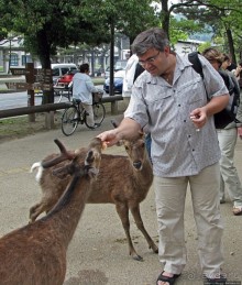 Олени Нара-парка
