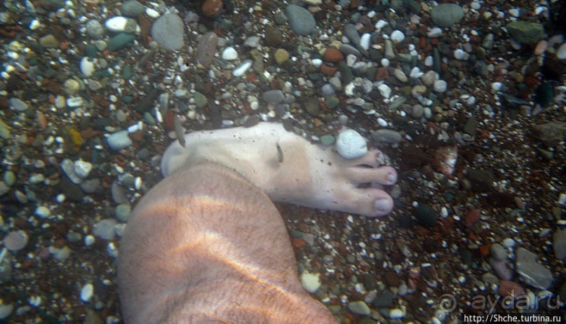 Лазурные воды Адриатики. Зимние воспоминания летней сказки