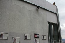 Маготы, или берберские макаки — "коренные" жители Скалы